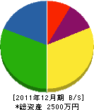 篠塚建設 貸借対照表 2011年12月期
