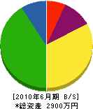 仙台イシワタ産業 貸借対照表 2010年6月期