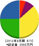 圓山特殊機器 貸借対照表 2012年4月期