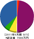 岡崎造園 貸借対照表 2011年6月期