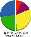 龍住設 貸借対照表 2011年12月期
