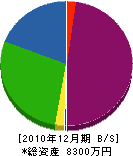 石武水道工事店 貸借対照表 2010年12月期