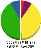 三陽新設 貸借対照表 2009年12月期