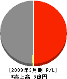 ニツテク広島 損益計算書 2009年3月期