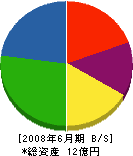 東日 貸借対照表 2008年6月期