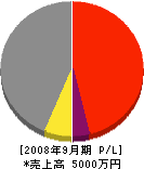 赤坂電機 損益計算書 2008年9月期
