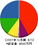 鈴木土建 貸借対照表 2007年12月期