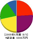 大塚建設 貸借対照表 2009年6月期