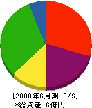 八幡浜建設 貸借対照表 2008年6月期