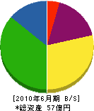 奈良県中和営繕 貸借対照表 2010年6月期