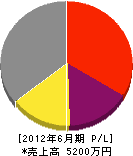 ペイブメント東日本 損益計算書 2012年6月期