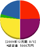 筑陽舗道 貸借対照表 2009年12月期