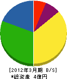 奈良電機重工 貸借対照表 2012年3月期