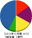 塚田建設 貸借対照表 2012年12月期