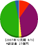 醍醐建設 貸借対照表 2007年12月期