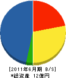 讃州電気工事 貸借対照表 2011年6月期