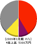 斎藤組 損益計算書 2009年3月期