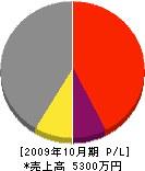 永田建設工業 損益計算書 2009年10月期