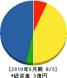 辻組 貸借対照表 2010年6月期