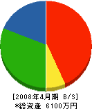 上野塗装工業 貸借対照表 2008年4月期