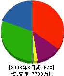サシマ建設 貸借対照表 2008年6月期