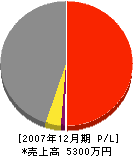 戸田建築 損益計算書 2007年12月期