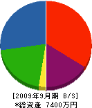 山川組 貸借対照表 2009年9月期