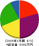 田中運送 貸借対照表 2009年3月期