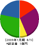 窪田木工所 貸借対照表 2009年1月期