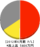 エース建設 損益計算書 2012年6月期