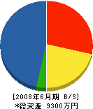 平井建設 貸借対照表 2008年6月期