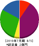 北海道カーボナイズ 貸借対照表 2010年7月期