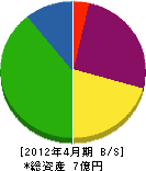 日本環境管理センター 貸借対照表 2012年4月期