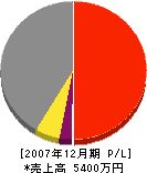 中野左官工業 損益計算書 2007年12月期