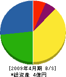 田邉工業所 貸借対照表 2009年4月期