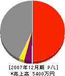 中島総合建築 損益計算書 2007年12月期