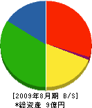 竹村組 貸借対照表 2009年8月期