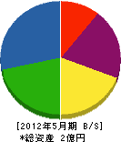 岡山産業 貸借対照表 2012年5月期