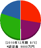 柴田電気商会 貸借対照表 2010年12月期