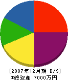 佐藤建設 貸借対照表 2007年12月期