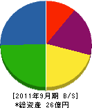 日本フォトサイエンス 貸借対照表 2011年9月期