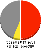 久保田土木 損益計算書 2011年6月期