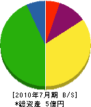 上村建材店土木 貸借対照表 2010年7月期