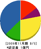 田沢川窪建設 貸借対照表 2009年11月期