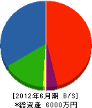 香賀建設 貸借対照表 2012年6月期