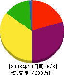 手塚電設 貸借対照表 2008年10月期