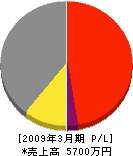 田邉建材 損益計算書 2009年3月期