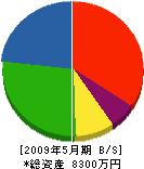大勝土建 貸借対照表 2009年5月期