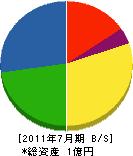 室塚ポンプ商会 貸借対照表 2011年7月期