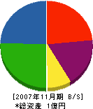 鈴木設備土木 貸借対照表 2007年11月期